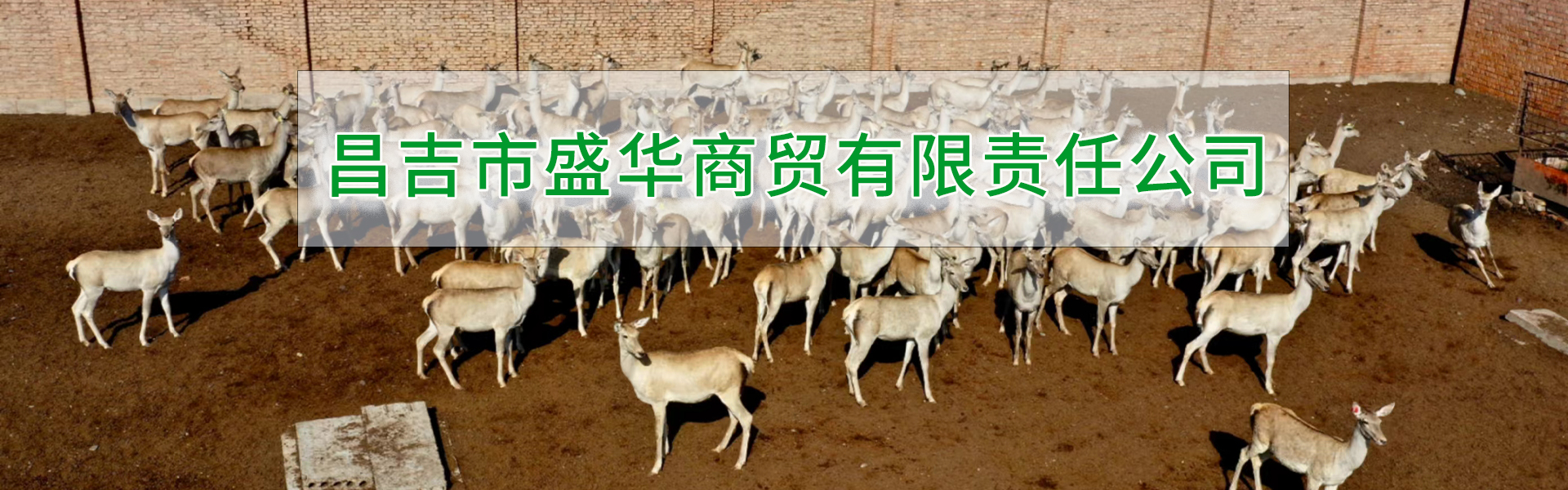 新疆昌吉华盛商贸